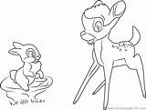 Coloring Bambi Thumper Pages Coloringpages101 sketch template