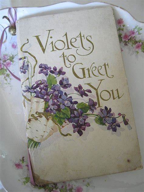 images  vintage violets  pinterest antigua postcards