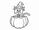 Halloween Kitten Coloring Coloringcrew sketch template