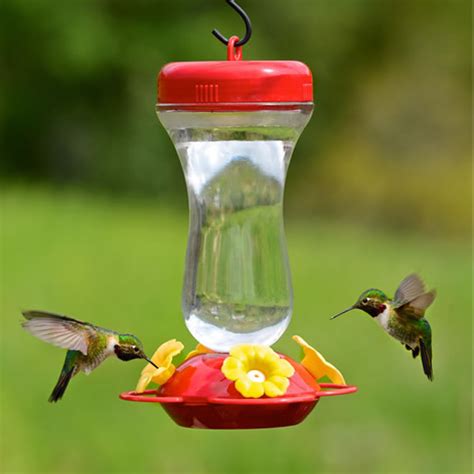 duncraftcom  oz glass top fill hummingbird feeder