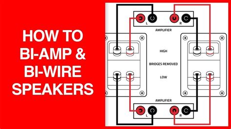 speaker bi amp wiring diagram