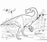 Dinosaur Triassic Pages Coloring sketch template