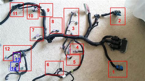 ls engine wiring harness diagram home wiring diagram