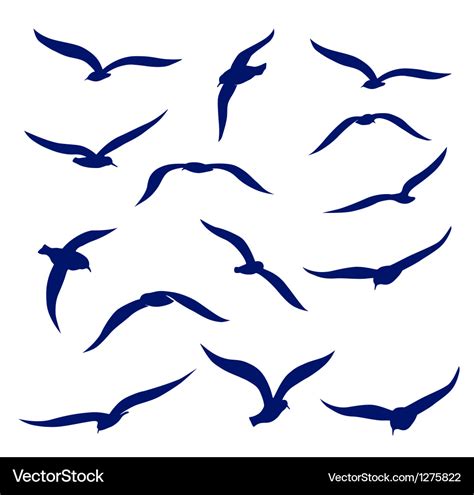 seagull silhouettes royalty  vector image vectorstock