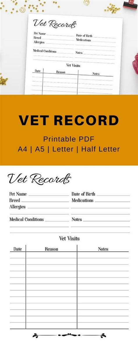 handy vet records printable  pet printable