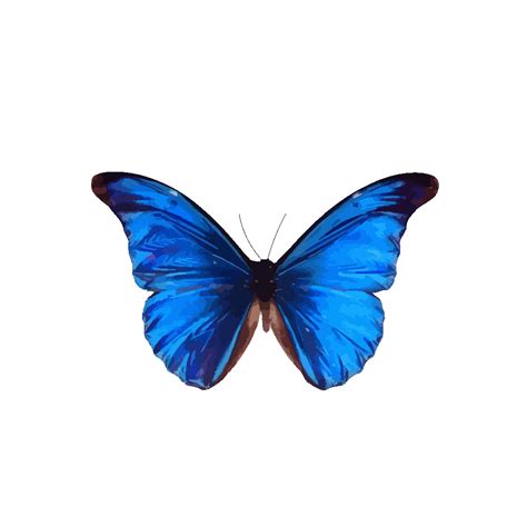 blue butterfly png svg clip art  web  clip art png icon arts