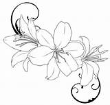 Lily Outline Tattoo Drawings Sketch Flower Drawing Lilly Coloring Lilies Sketchite sketch template