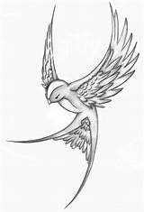 Bird Tattoo Sparrow Tattoos Sketch Choose Board sketch template