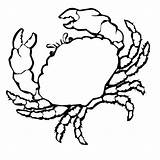 Colorat Desene Marins Marine Rac Crabe Colorear Mare Cangrejo Planse Coloriages Shells Seashell Insecte Krebs Mar Raci Zum Granchio Disegno sketch template