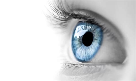 read insights   interesting facts  blue eyes  auckland eye