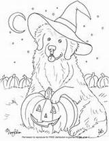 Coloring Pages Halloween Sheets Dog Trick Treat Costumes Amy Newfoundland Pet Books Christmas Witch Happy Monster Crafts Book Costume Stockings sketch template