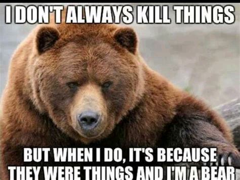 funny bear pictures with captions peepsburgh