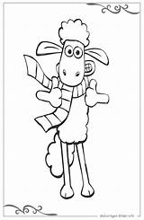 Shaun Schaf Ausmalbilder Ausmalbild Ausdrucken Schafe Malvorlagen Kinderbilder sketch template