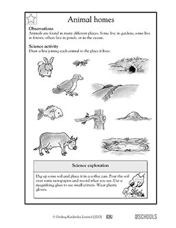 english class resources  worksheets printables