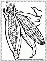 Coloring Pages Corn Printable Ear Cob Drawing Indian Stalk Field Template Kids Color Print Outline Fruit Getdrawings Children Getcolorings Templates sketch template