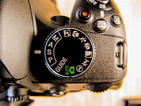 nikon  camera review  exceptional entry level dslr technology