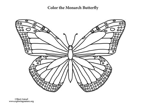 butterfly monarch coloring page