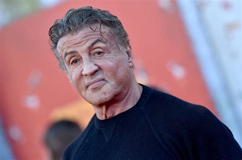 sylvester stallone spotted  set  yellowstone creators  series
