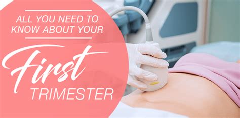 Guide All You Need To Know About Your First Trimester