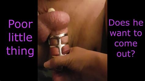 cuckold hubby told to lick and watch dildo orgasm porn a8