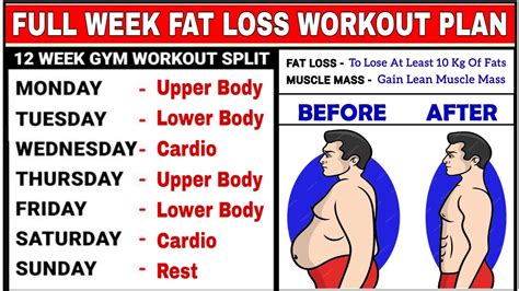 Full Week Workout Plan For Fat Loss Buddyfitness Youtube