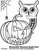 Coloring Halloween Pages Owl Owls Visit sketch template