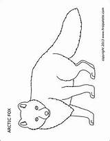 Animal Printable Fox Arctic Animals Templates Coloring Pages Printables Preschool Firstpalette Crafts Sheets Artic Polar Choose Board sketch template