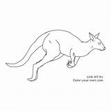 Kangaroo Coloring Leaping Color Pages Index Own sketch template