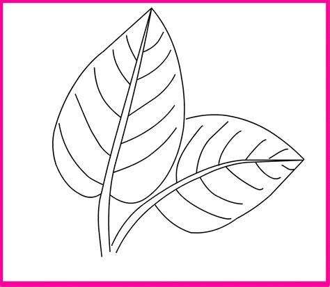 fresh leaf coloring pages leaf coloring page fall leaves coloring