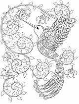 Hummingbird Nerdy Zentangle sketch template