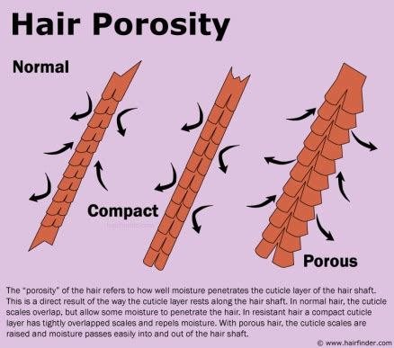 tales   waist length hairventure   hair porosity