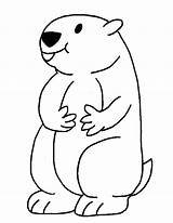 Groundhog Coloring Pages Print sketch template