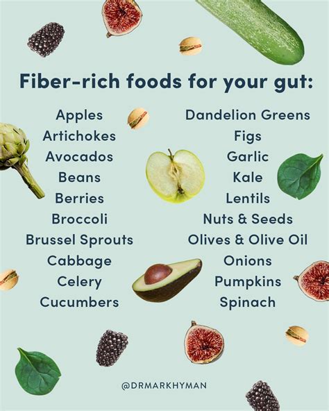fiber rich foods   gut liv wellness
