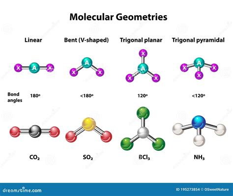 molecular geometry structure  elements stock vector illustration  infographic molecule