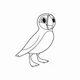 Puffin Coloring Pages Color Getcolorings Wonderful Printable sketch template