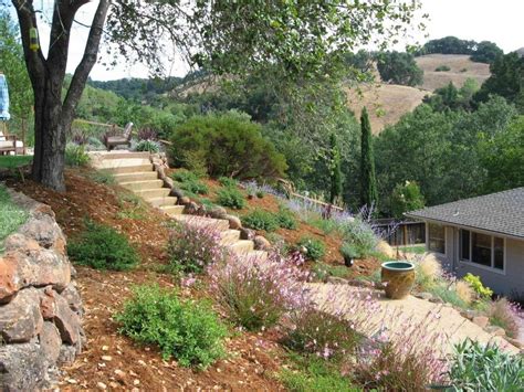 ideas to landscape a steep hillside — randolph indoor and outdoor design