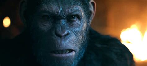war for the planet of the apes review round up critics