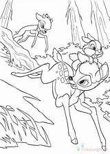 Jelonek Bambi Kolorowanki Dzieci Dla sketch template