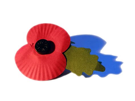 teenager launches campaign  secure   wear  poppy womens