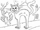 Coloring Cat Creepy Pages Scary Printable Edupics Large sketch template