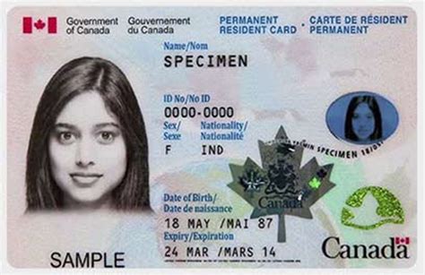 renew pr card   canada canada visa expert