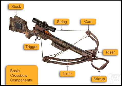 barnett crossbow parts diagram wiring diagram pictures