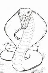 Coloring Cobra King Pages Snake Drawing Clip Clipart Library Colouring Arts Related Kids Popular sketch template