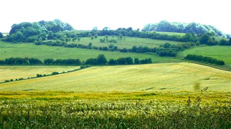 herrys journal favourite views fields  barley