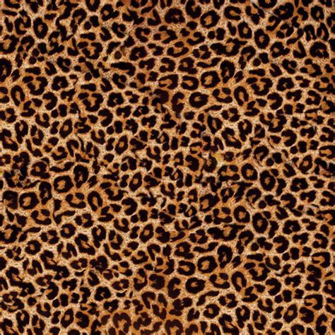 cheetah decal vinyl animal print trendy etsy