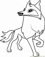 Wolf Animaljam Coloringpages sketch template