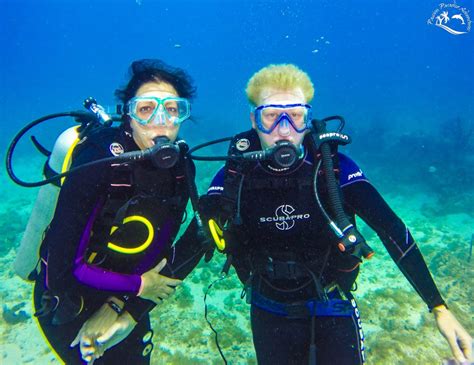 scuba diving archives passion paradise