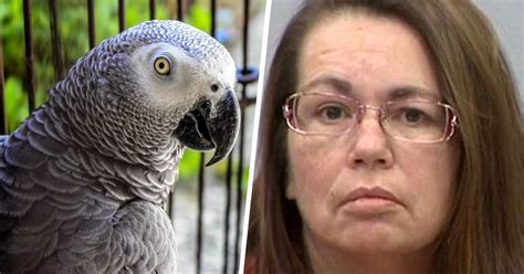 parrot witness in murder case glenna duram found guilty