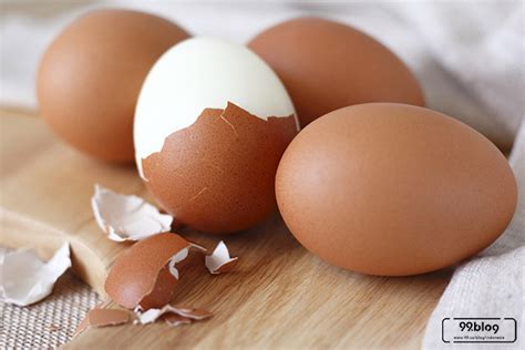 10 Manfaat Telur Rebus Untuk Tubuh Dan Kesehatan