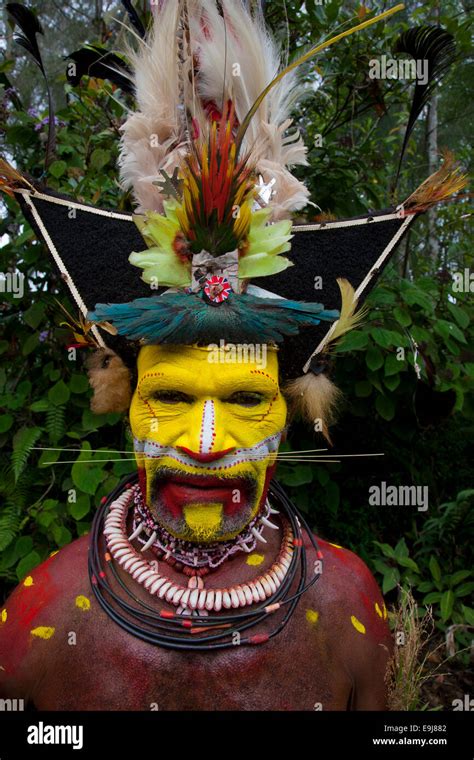 a huli wigmen of papua new guinea with his headdress made